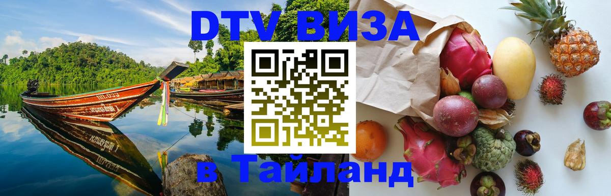 Оформление DTV визы под ключ: стоимость и тарифы, только загранпаспорт - 18.11.2025 